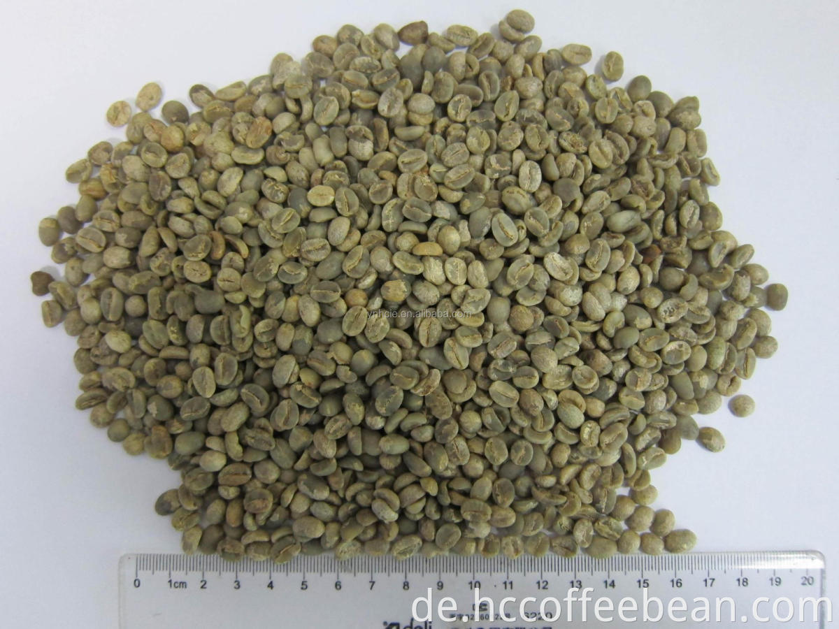 Chinesische gewaschene grüne Kaffeebohnen aus Yunnan Arabica, Klasse A, Sieb 15-16